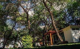 Hotel Los Lirios